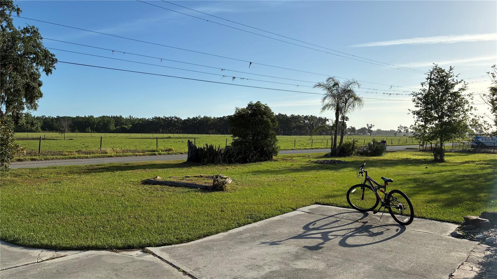 Front yard view