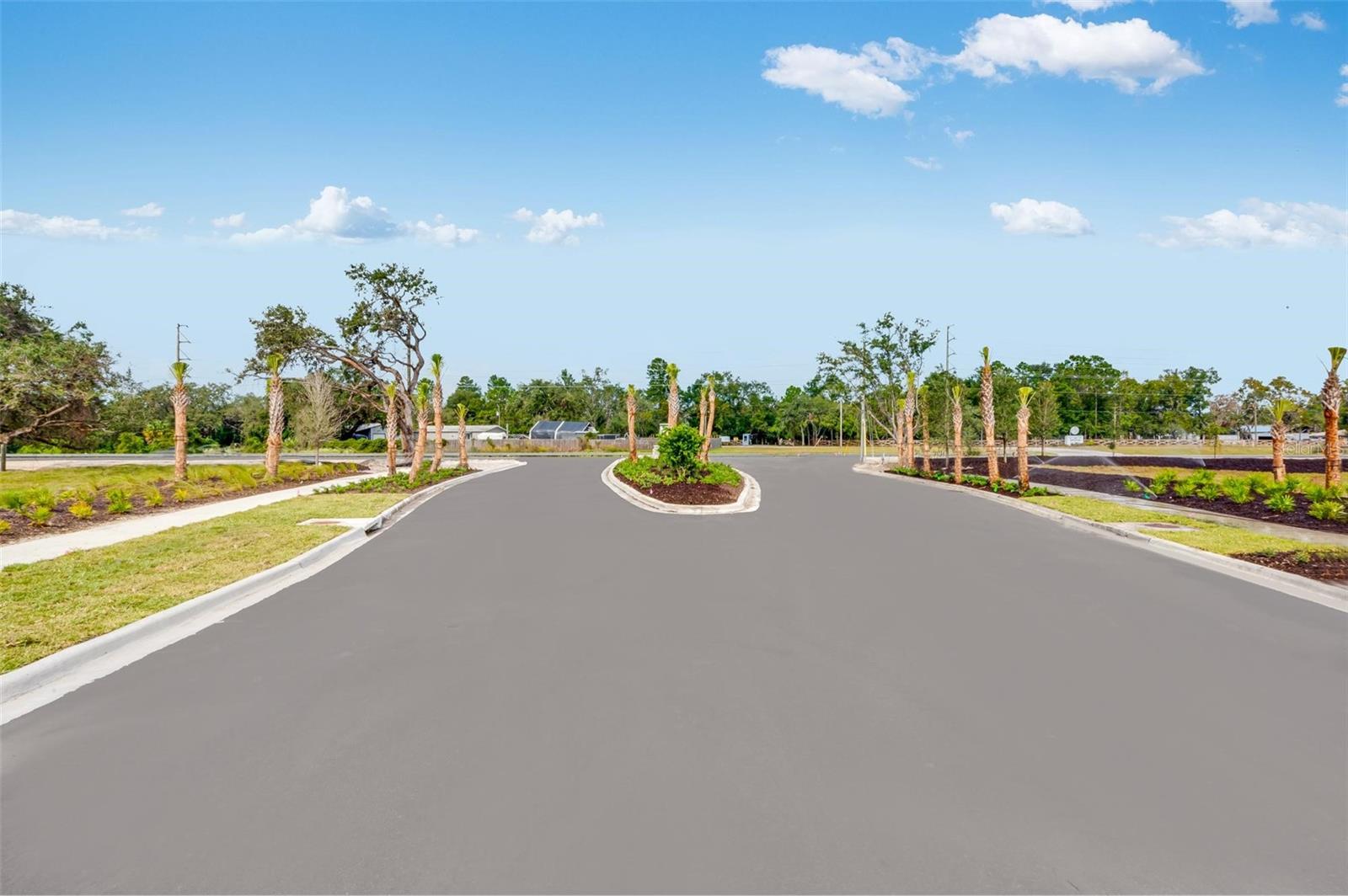 Palm Wind Community