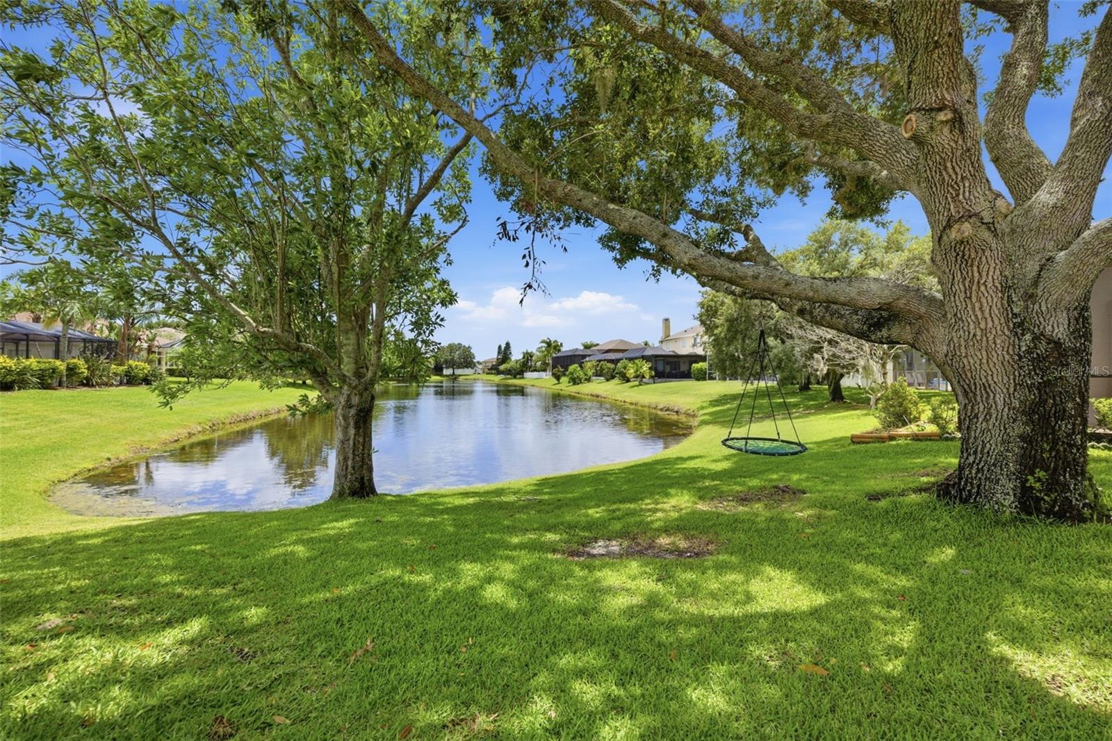 serene pond view