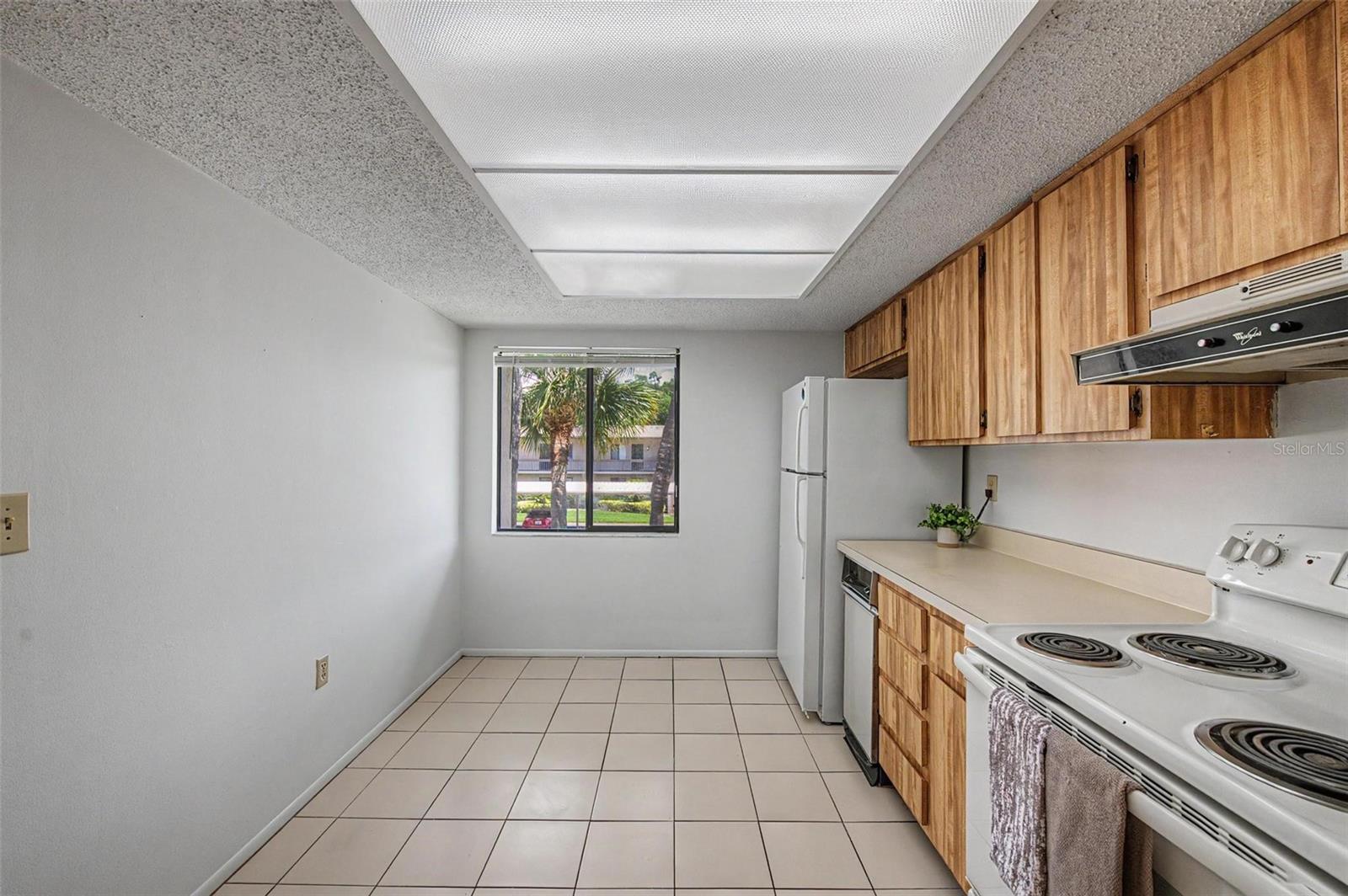 Light and bright kitchen.