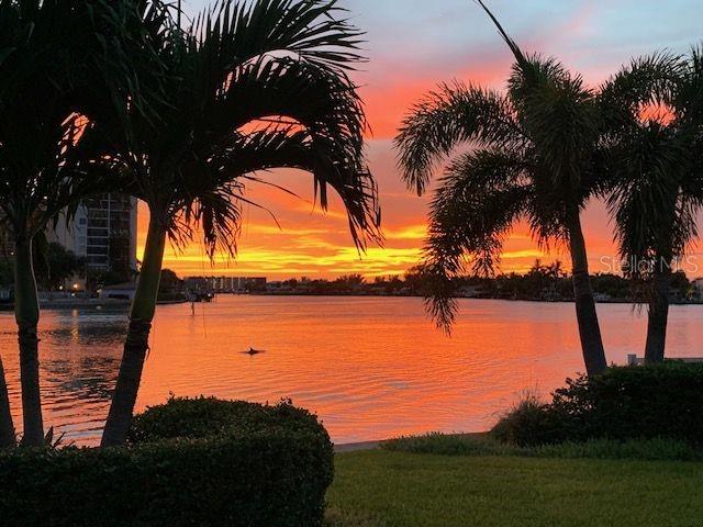 Gorgeous Sunsets