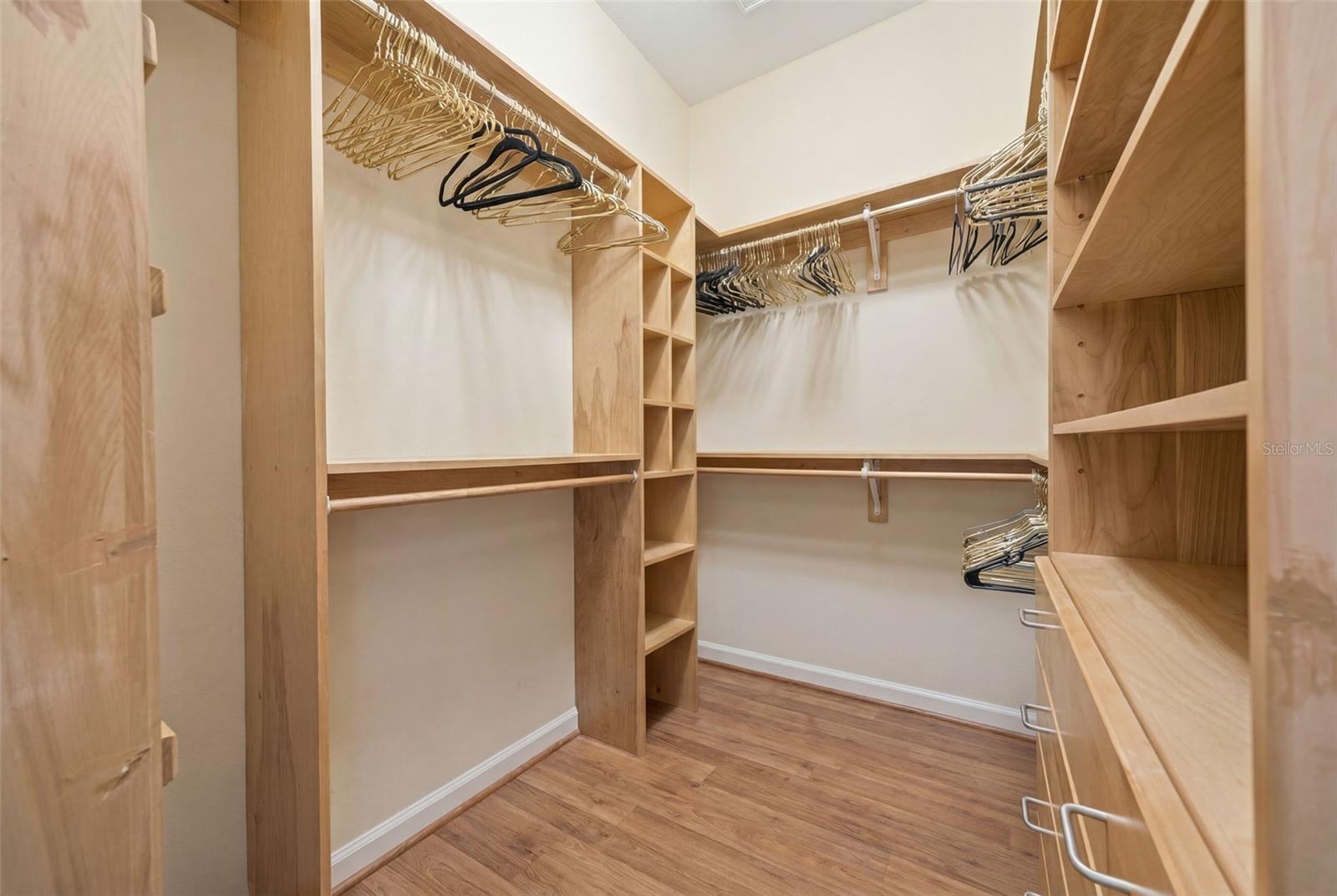 Primary Closet