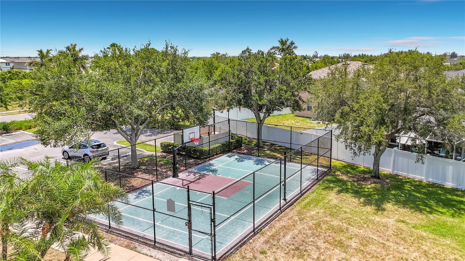 Basketball Court
