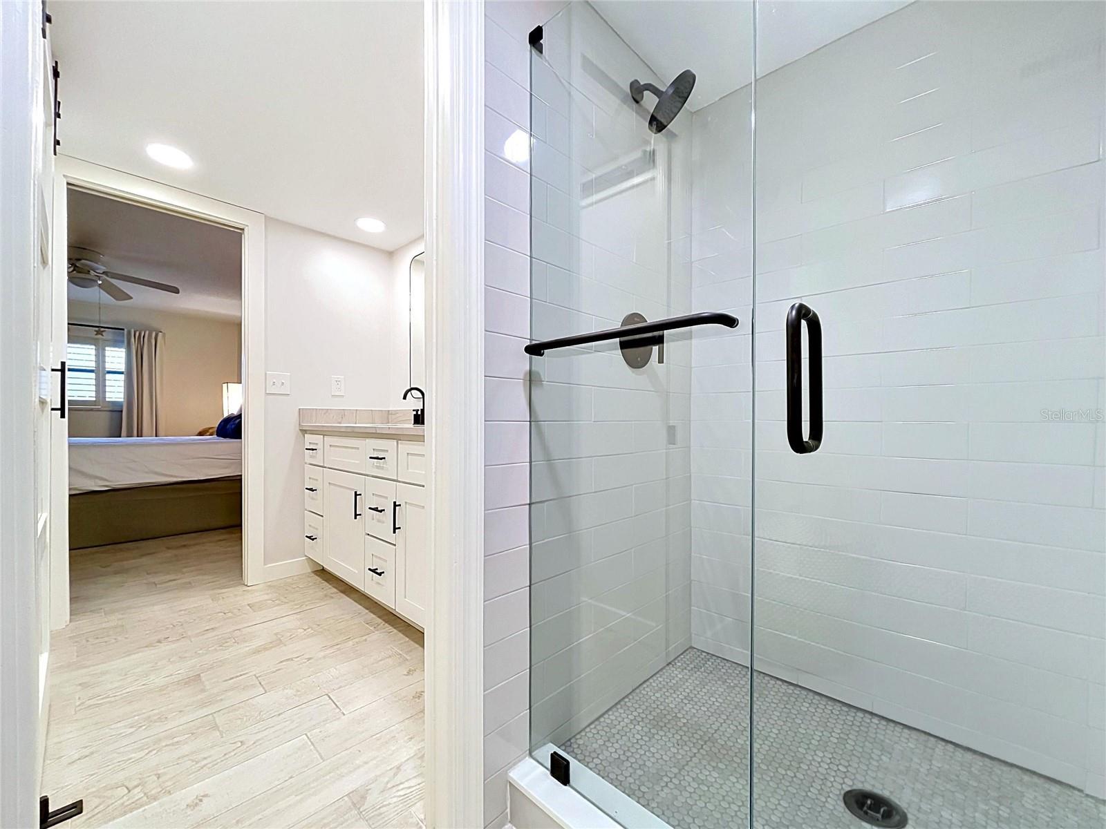 Primary bathroom shower