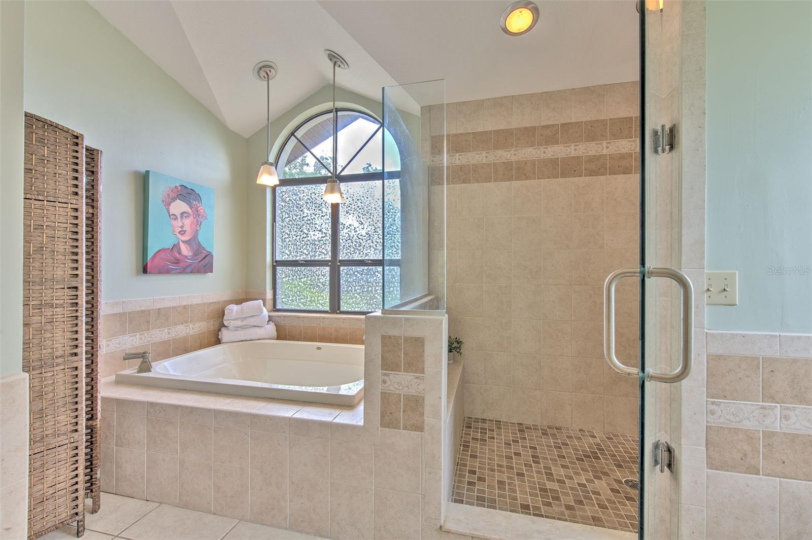 Soaking Tub and Walk-in Shower