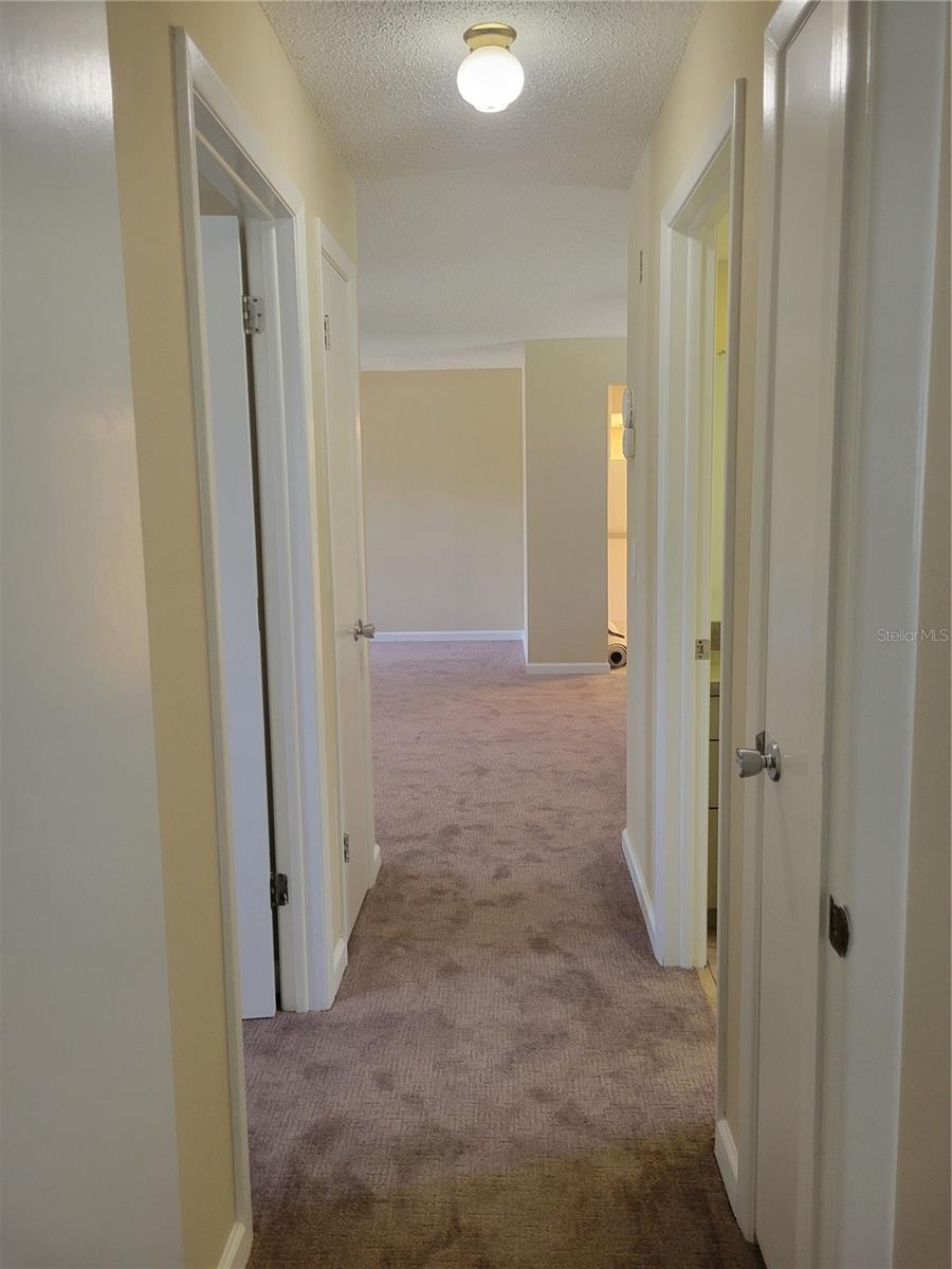 Hall back to Living Room area