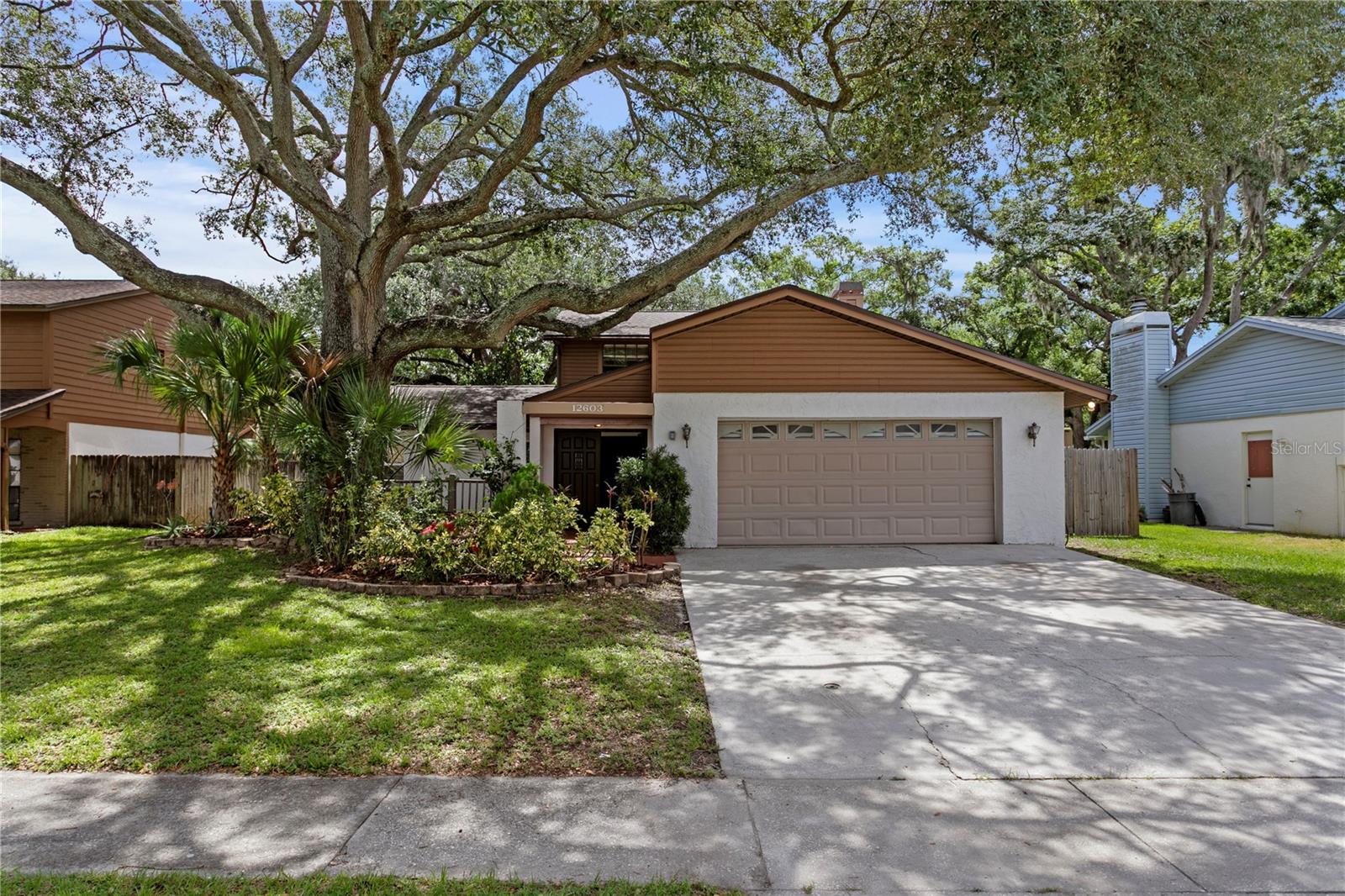 Welcome to 12603 Rain Forest Street