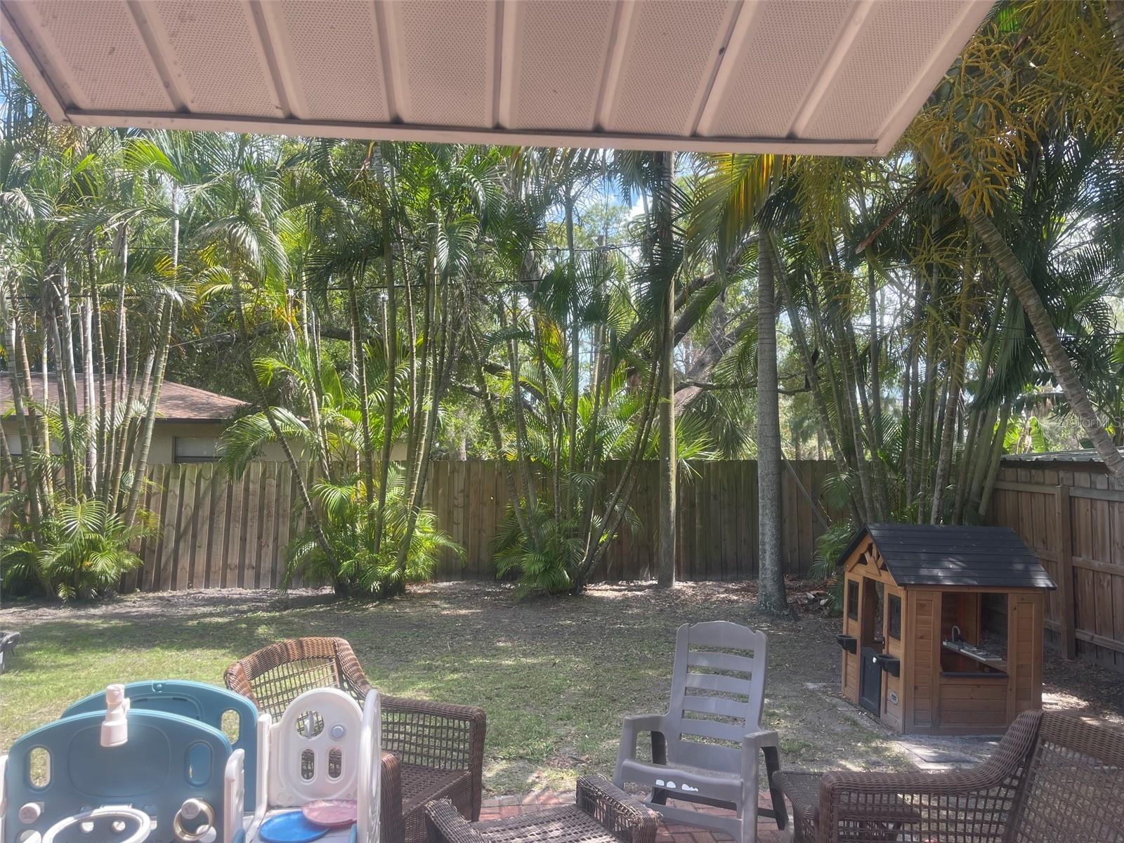 Back yard