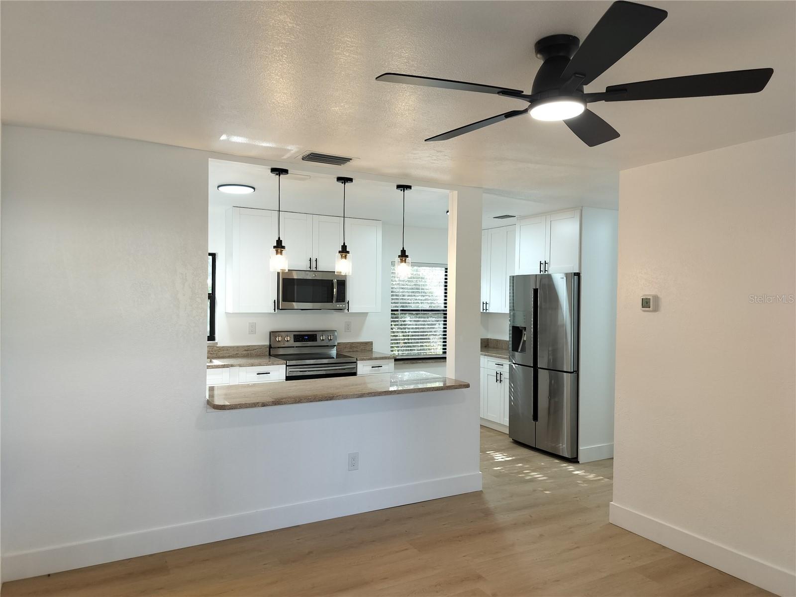 Living Room and Kitchen