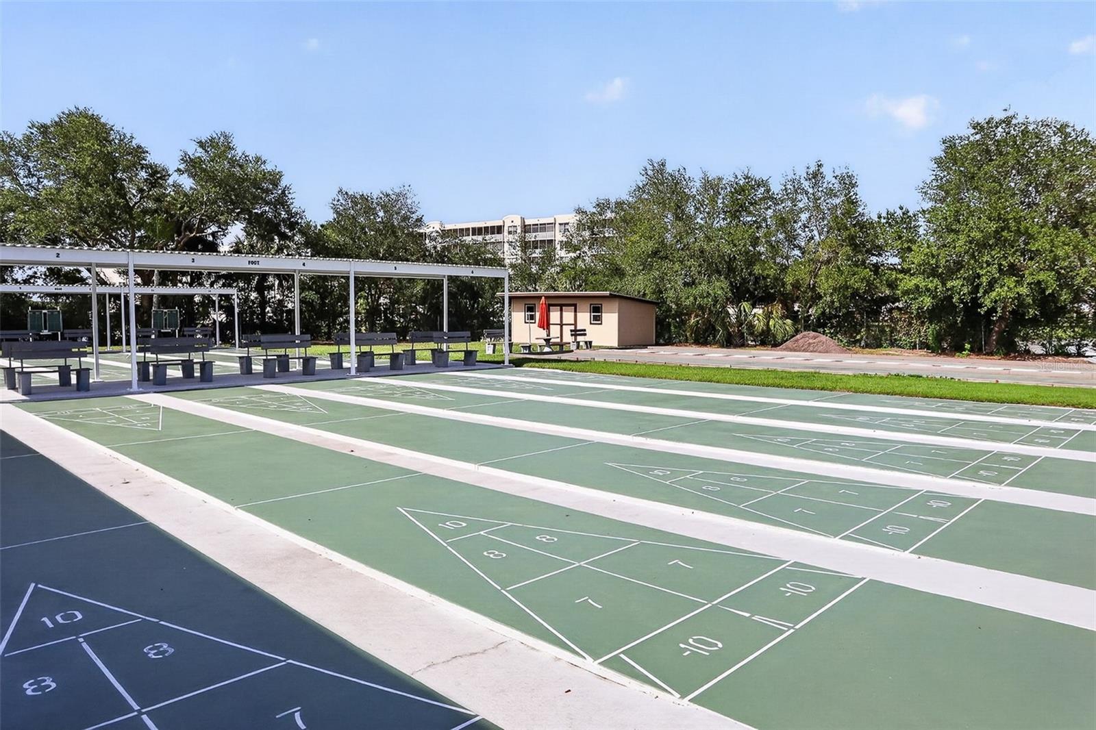 Shuffleboard Courts
