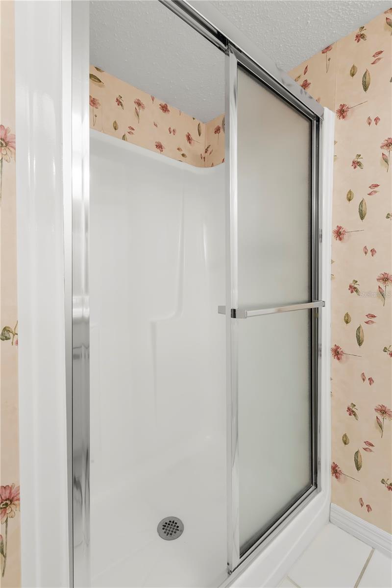 Step in shower in guest bath with pull down sprayer