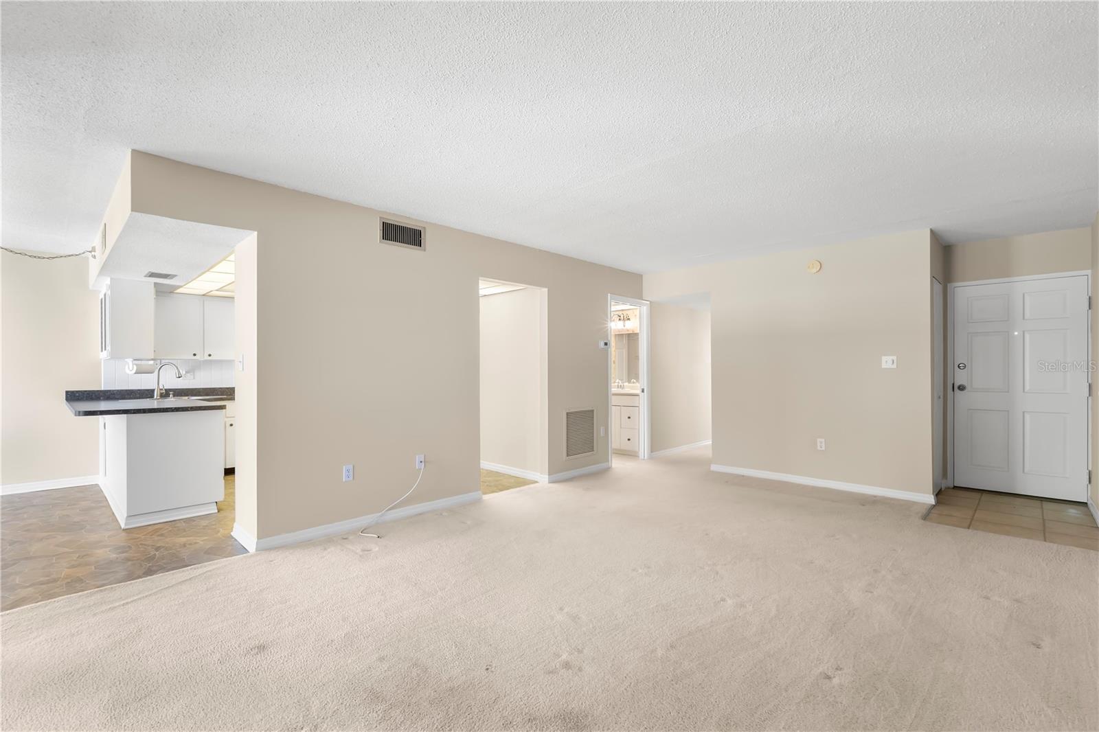 Large great room