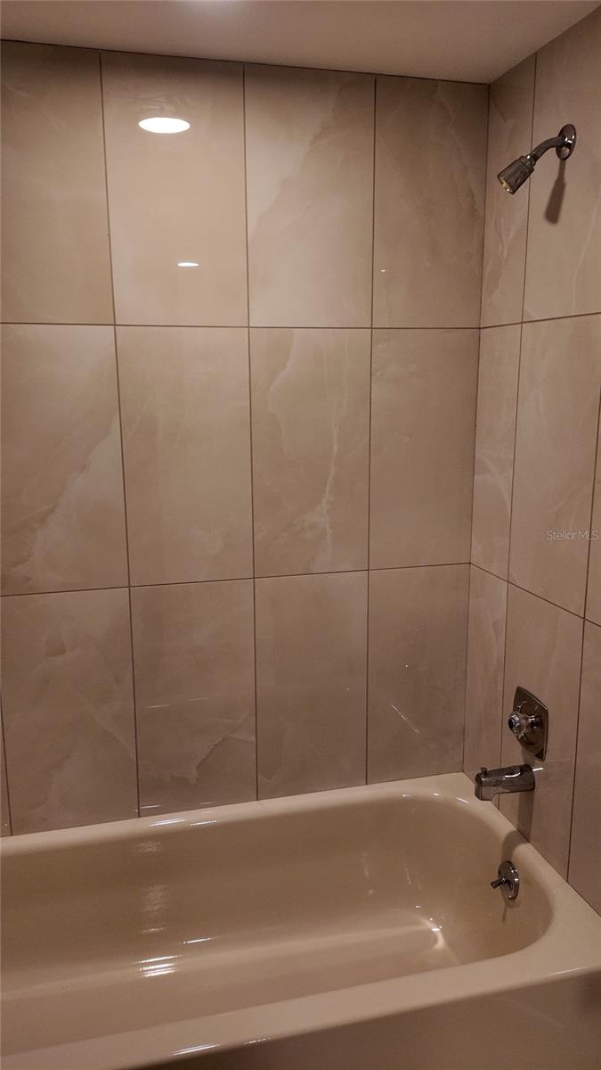 Master Tub shower