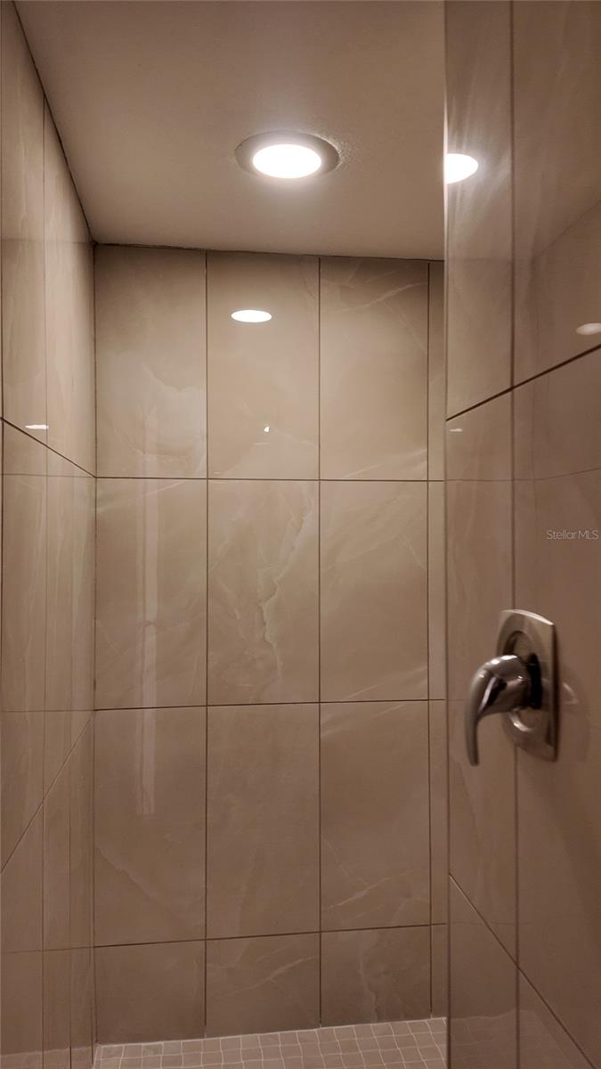 Master walk in shower