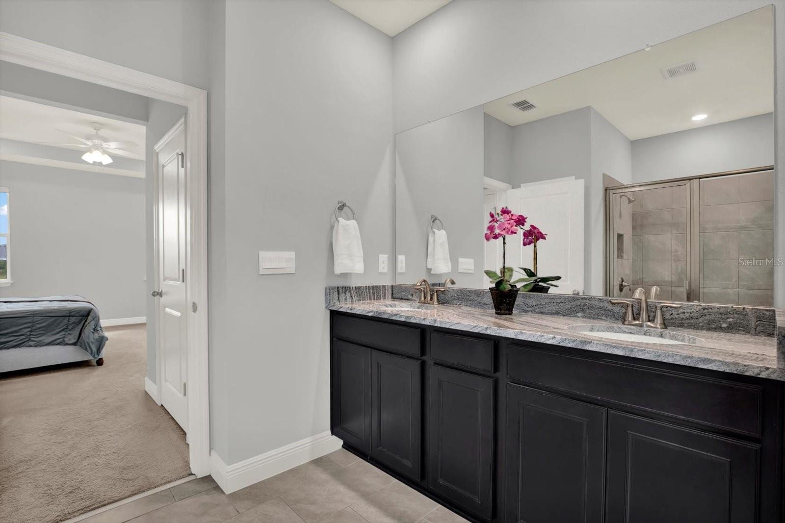 Primary bathroom