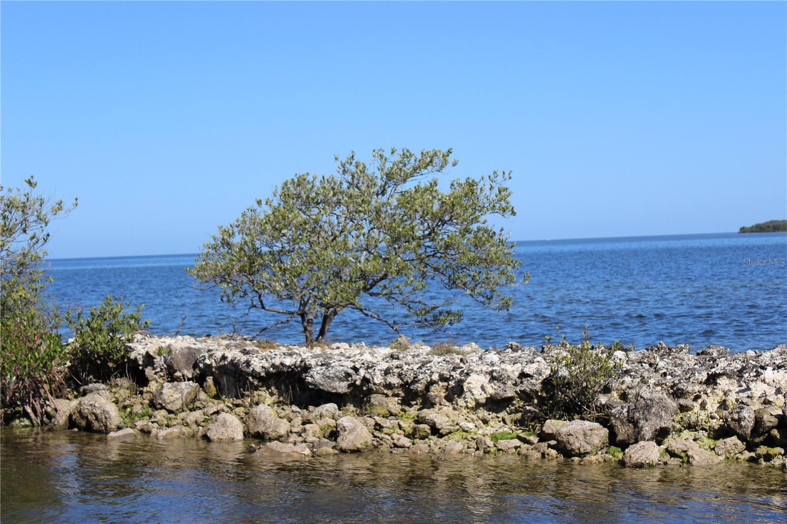 G5112982