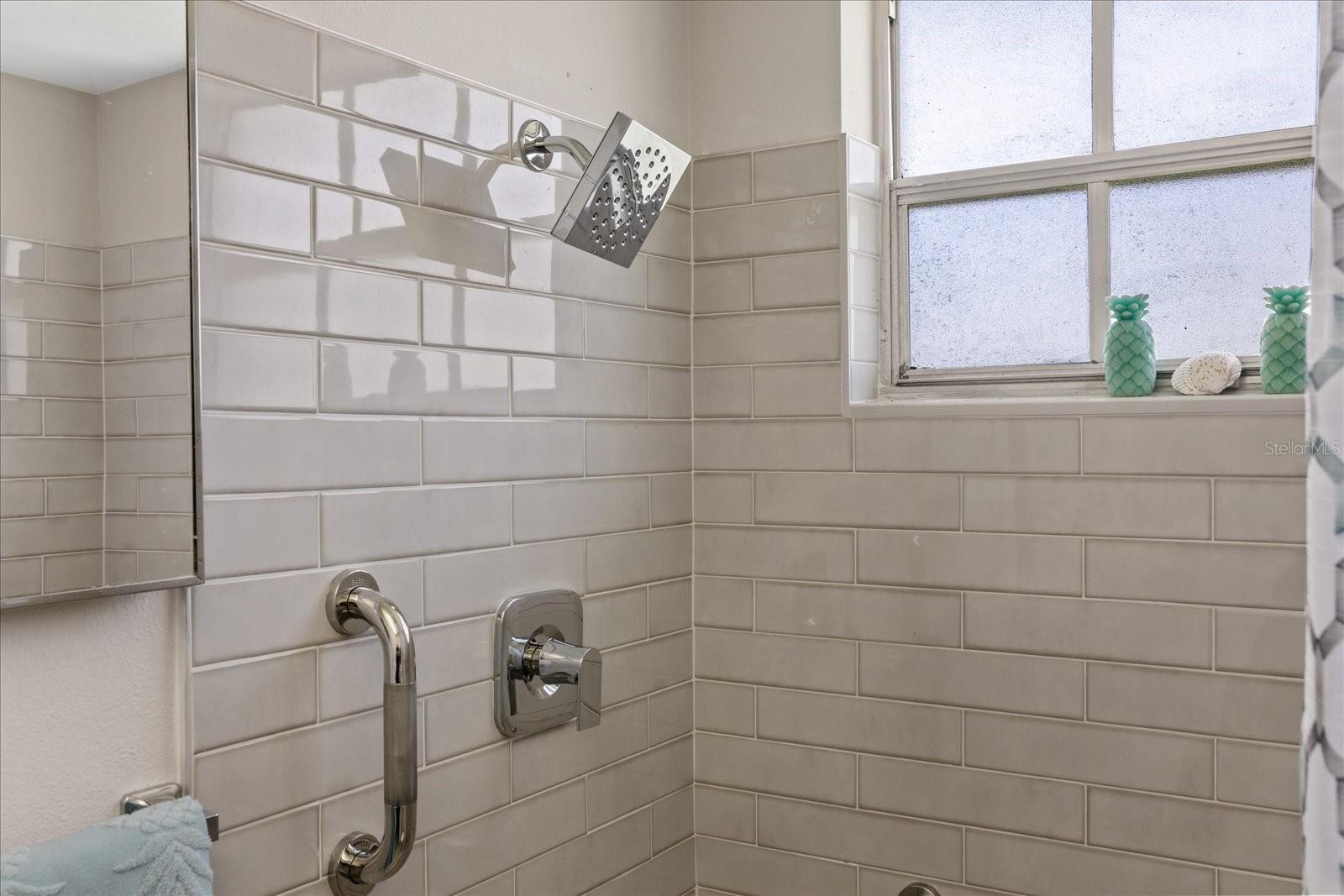 Primary bathroom vanity mirror cabinet insert and rainhead shower with safety hand rail