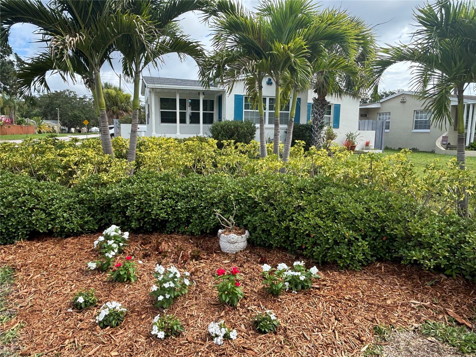 Beautiful landscape, palm trees and flowers grace the front yard.