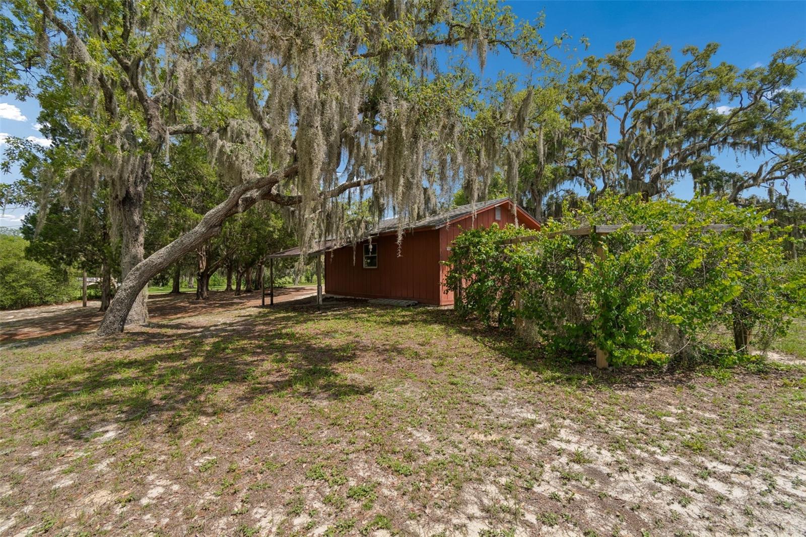 TB8513387