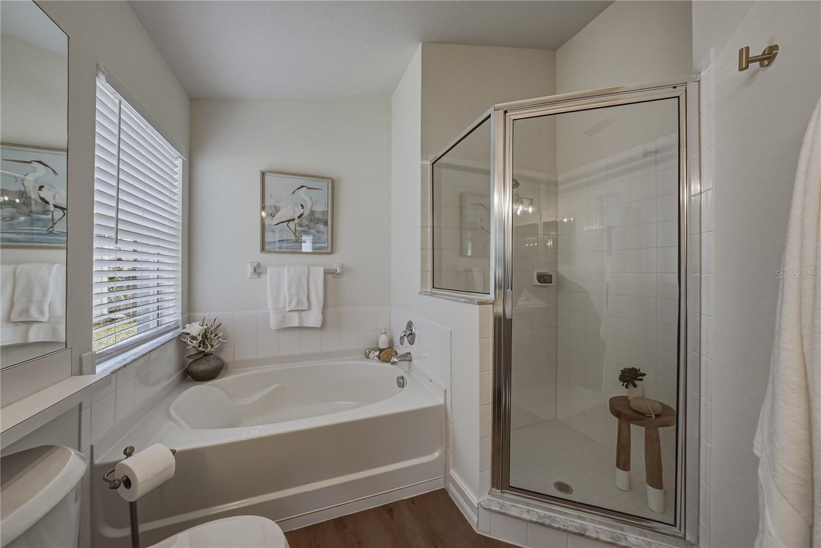Primary Bath with Tub and Separate Shower
