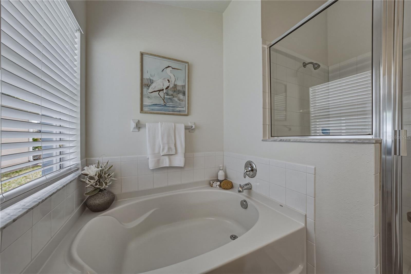 Primary Bath with Tub and Separate Shower