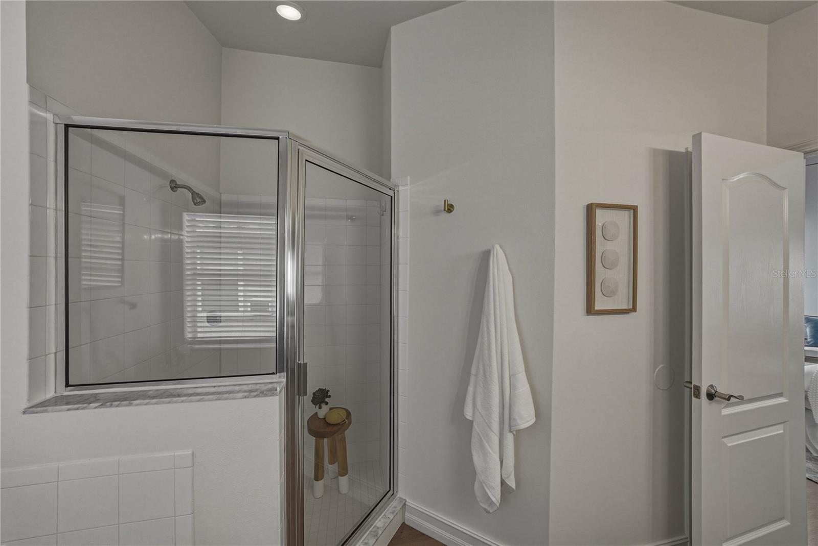 Primary Bath Shower