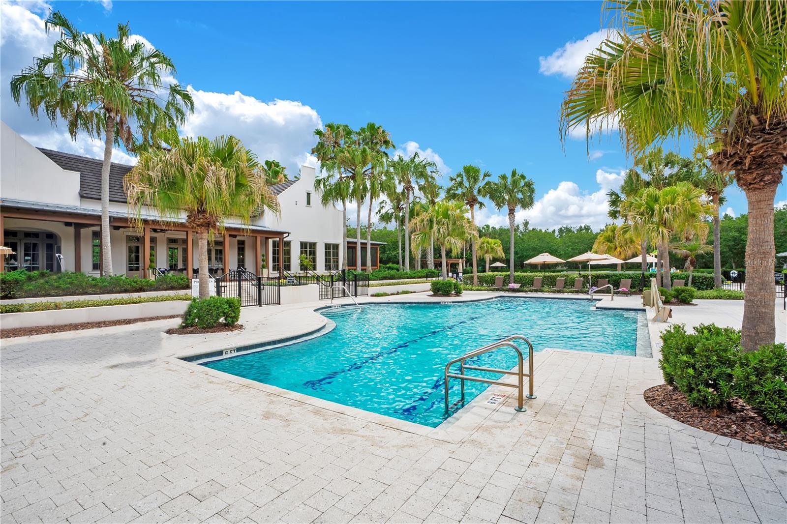 Community Pool in Starling
