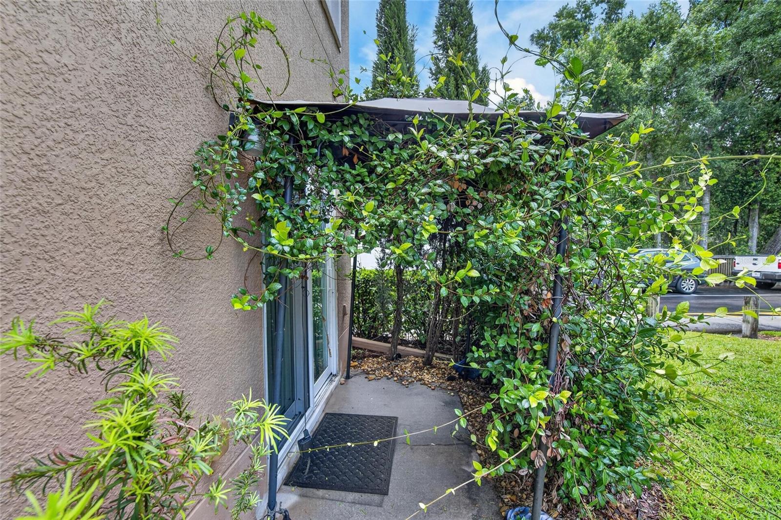 Downstairs patio.