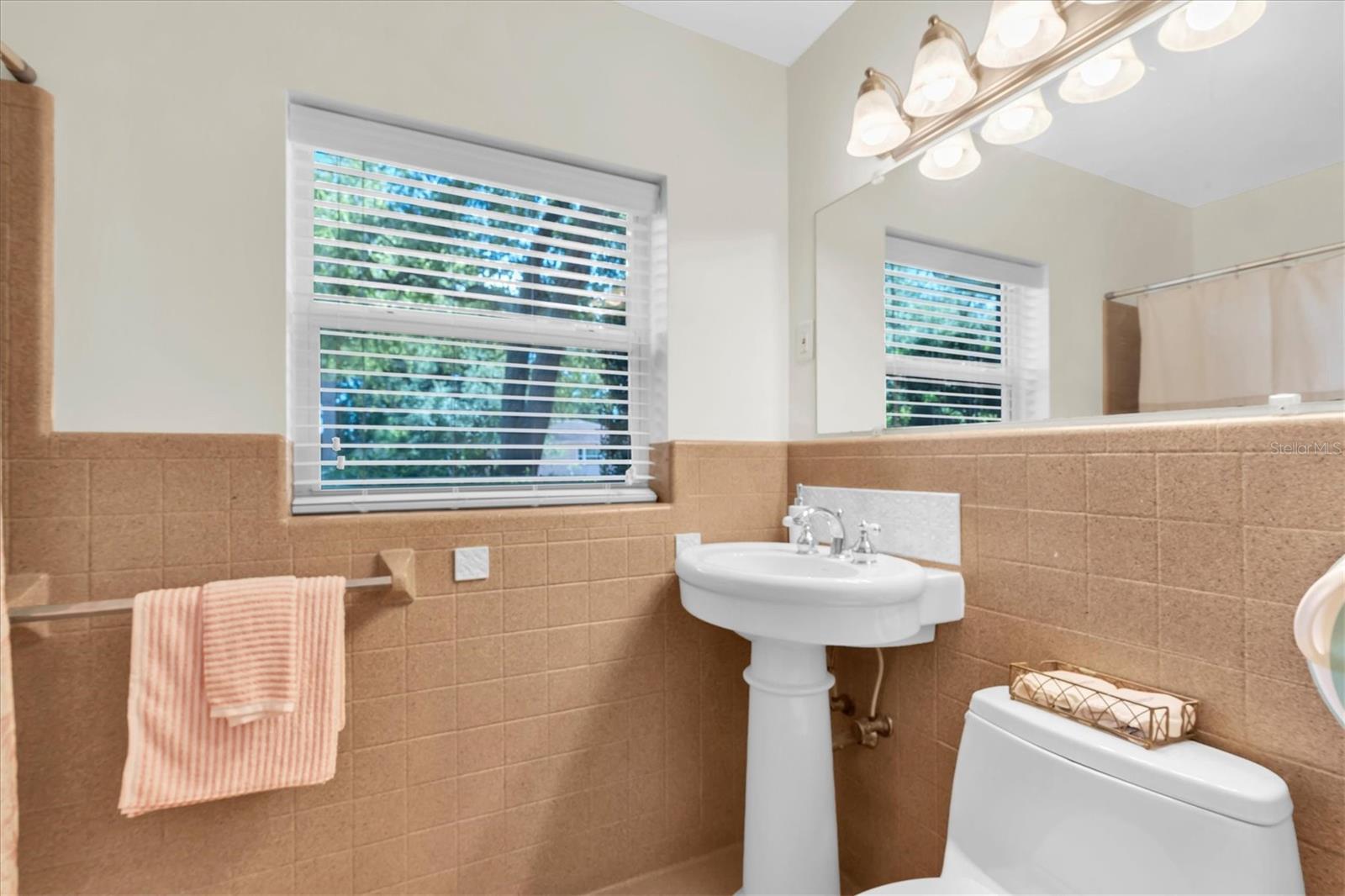 Downstairs Bathroom - Tub/Shower Combination