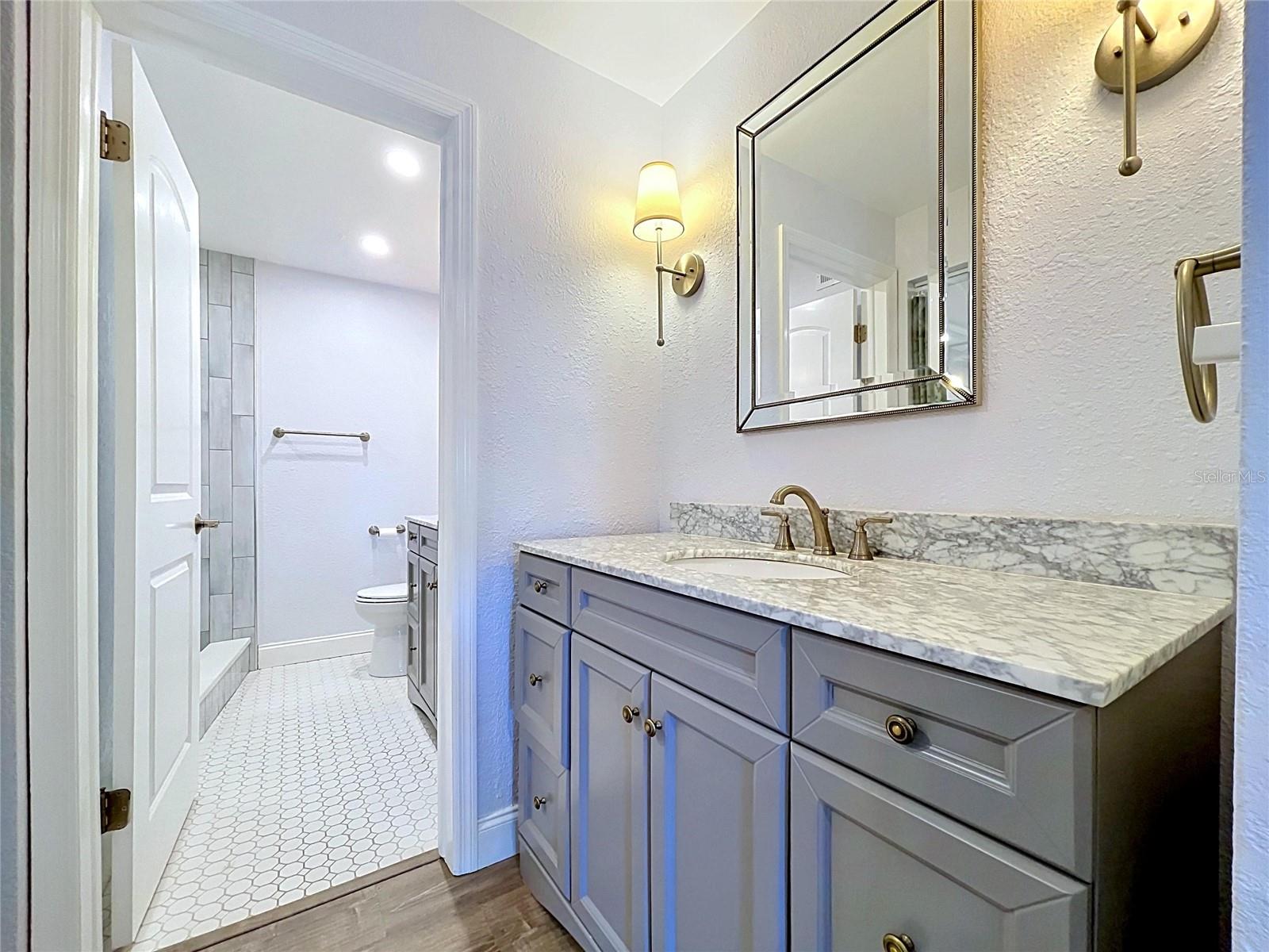 2nd master bathroom (his) sink