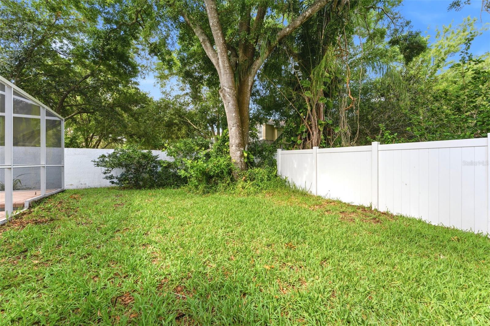 Backyard