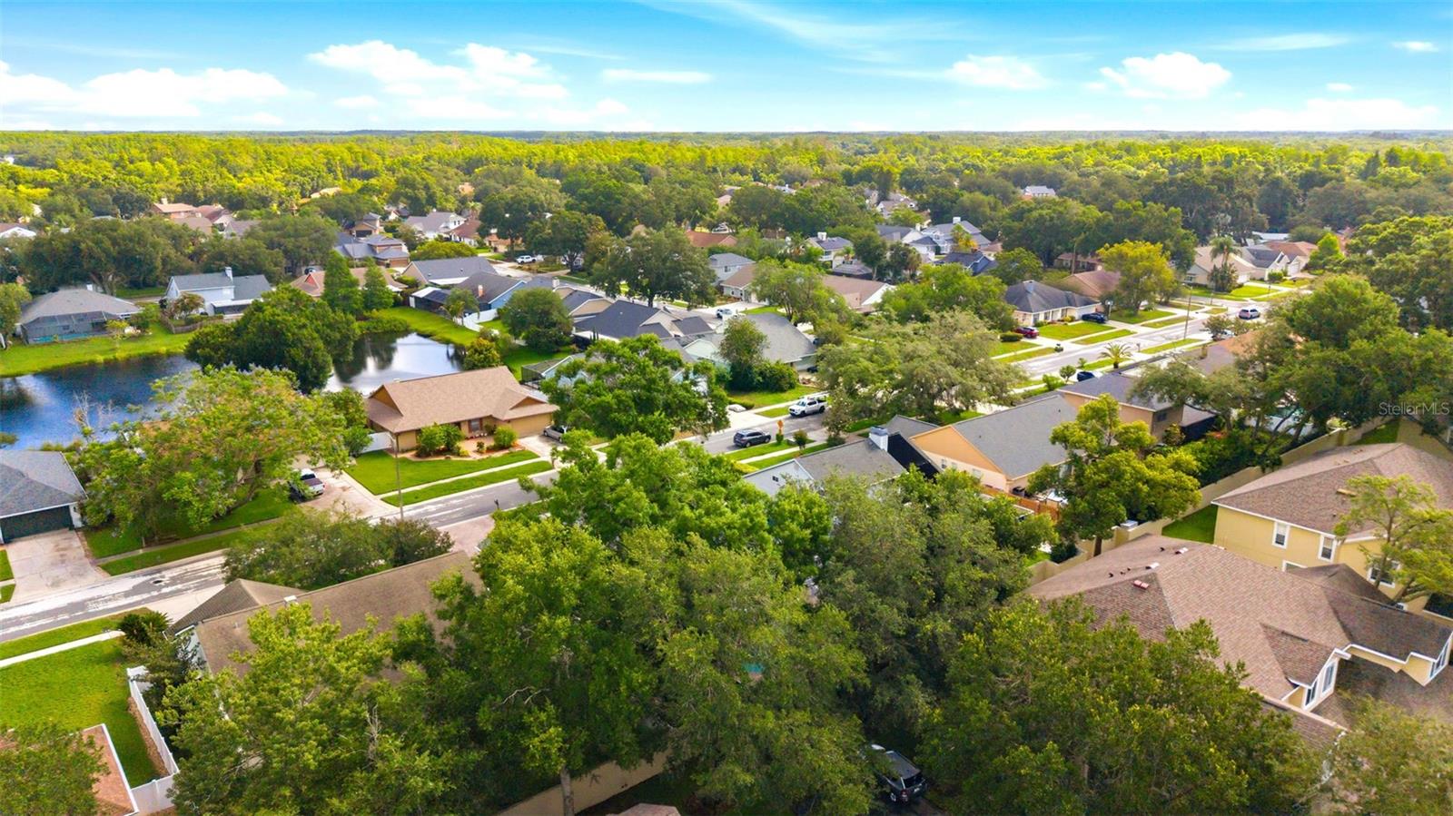 Neighborhood
