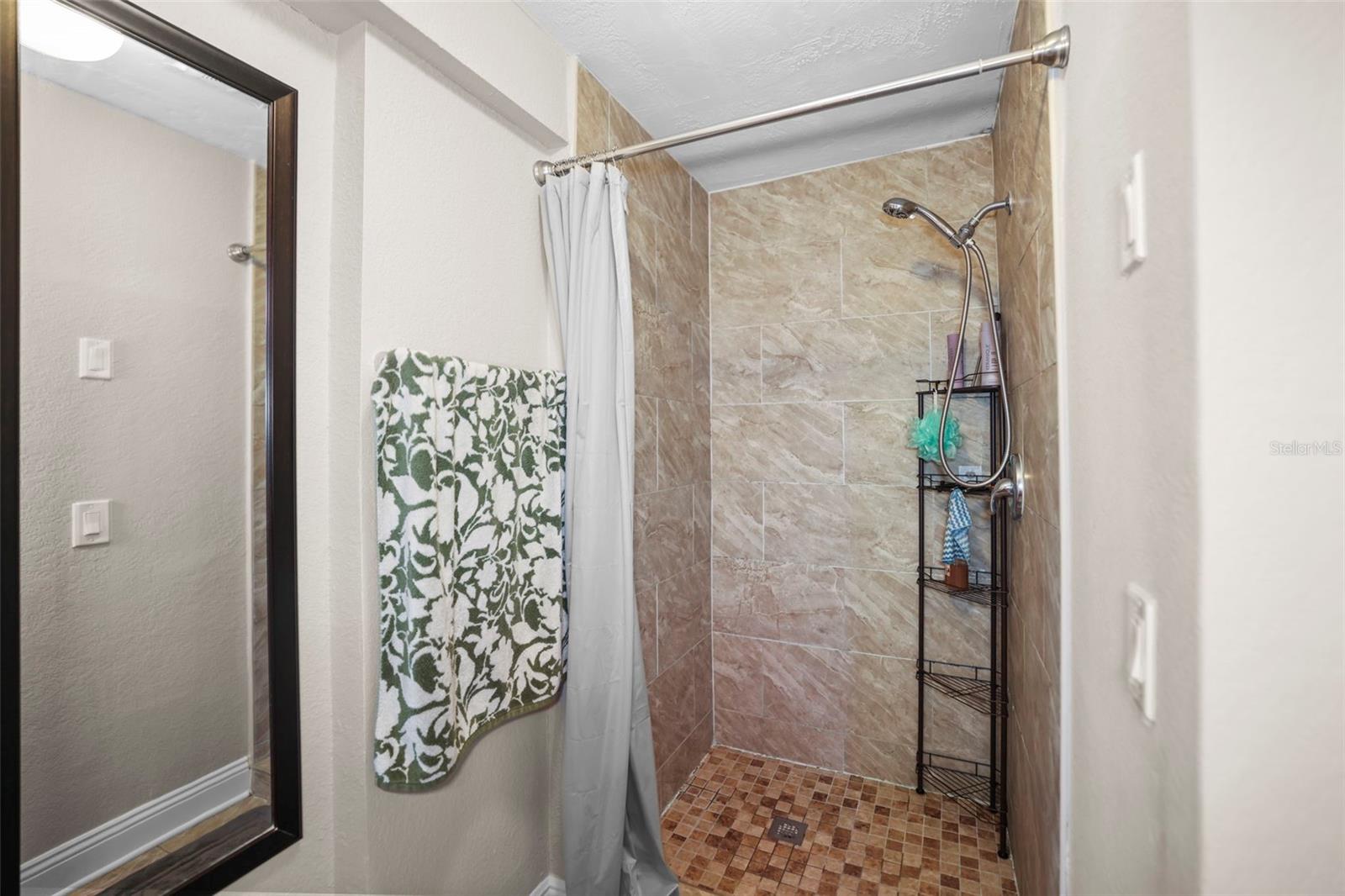 Main Bathroom Shower