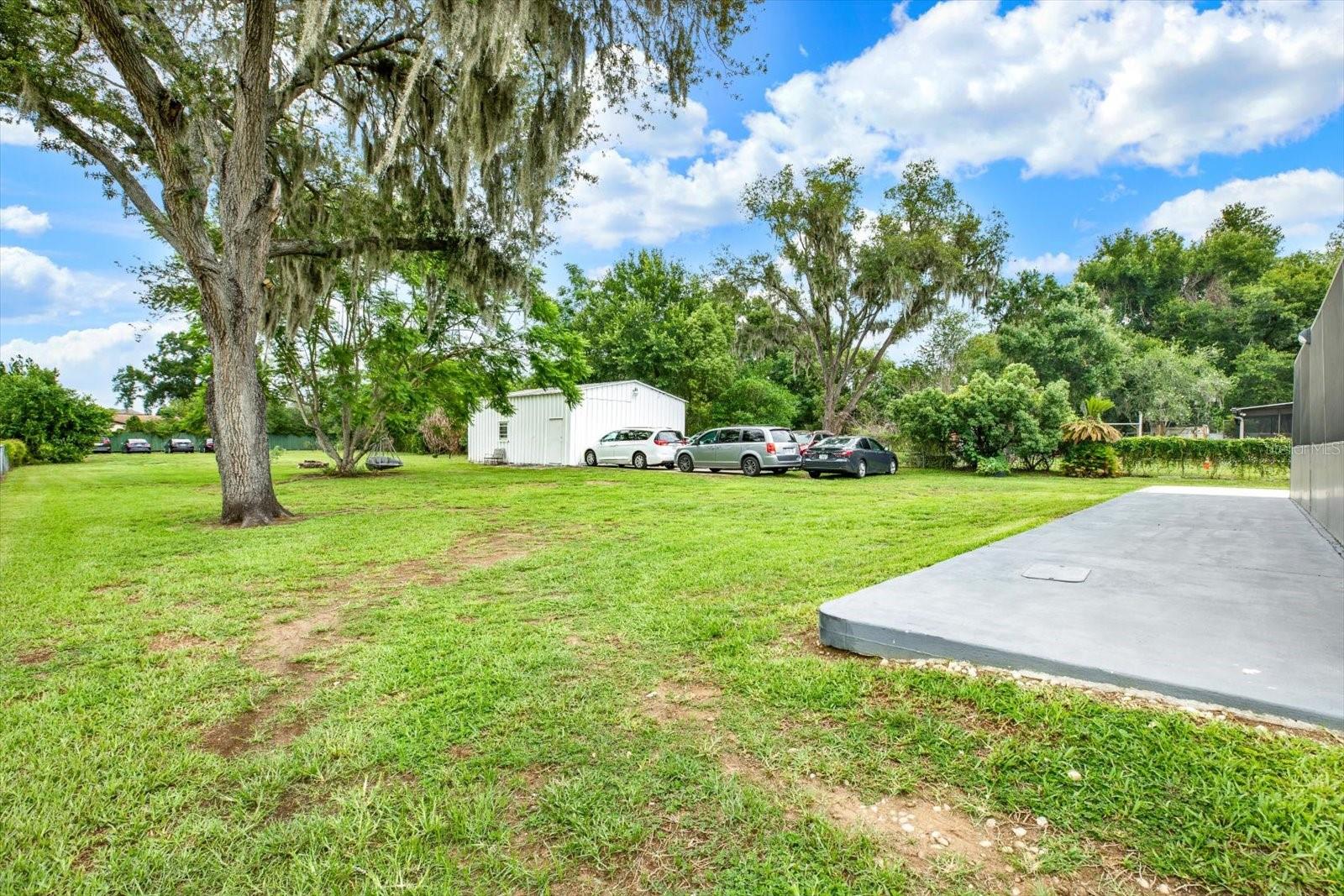 Backyard