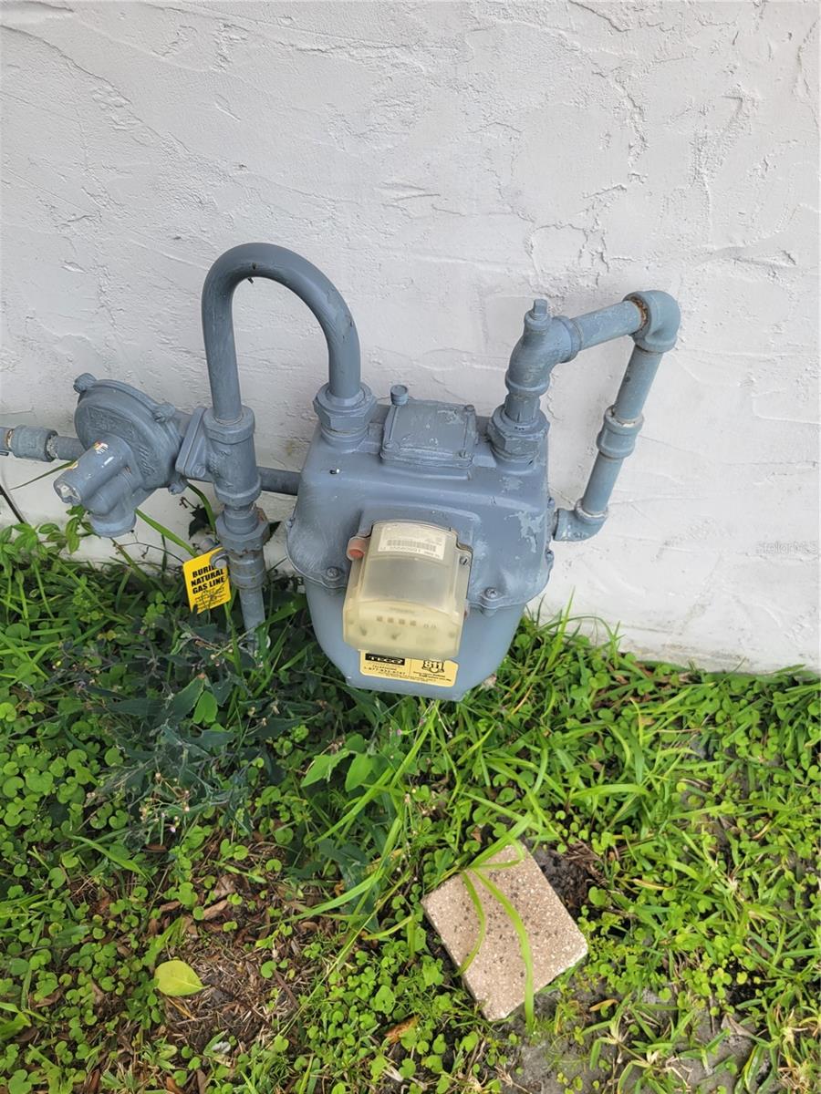 Natural Gas
