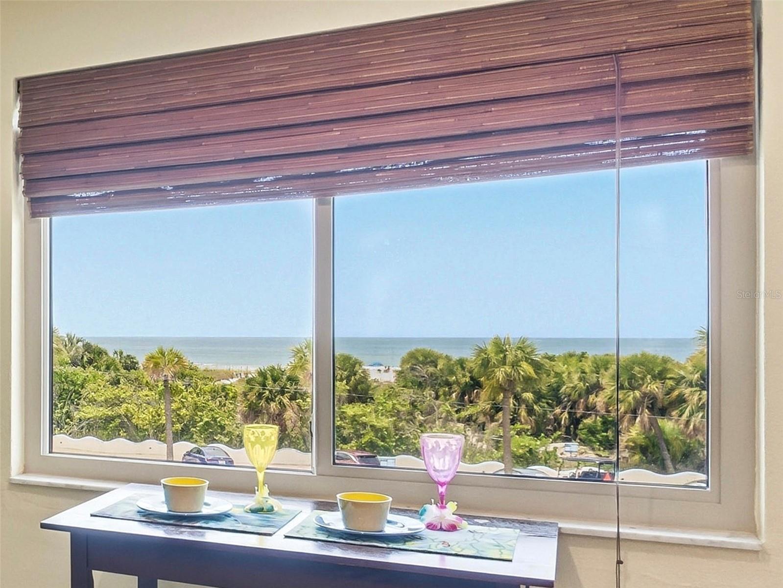 Condo view