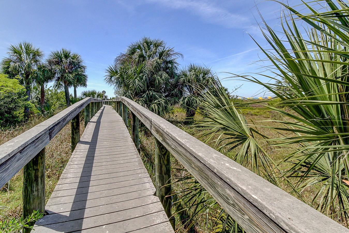 Beach Walkover