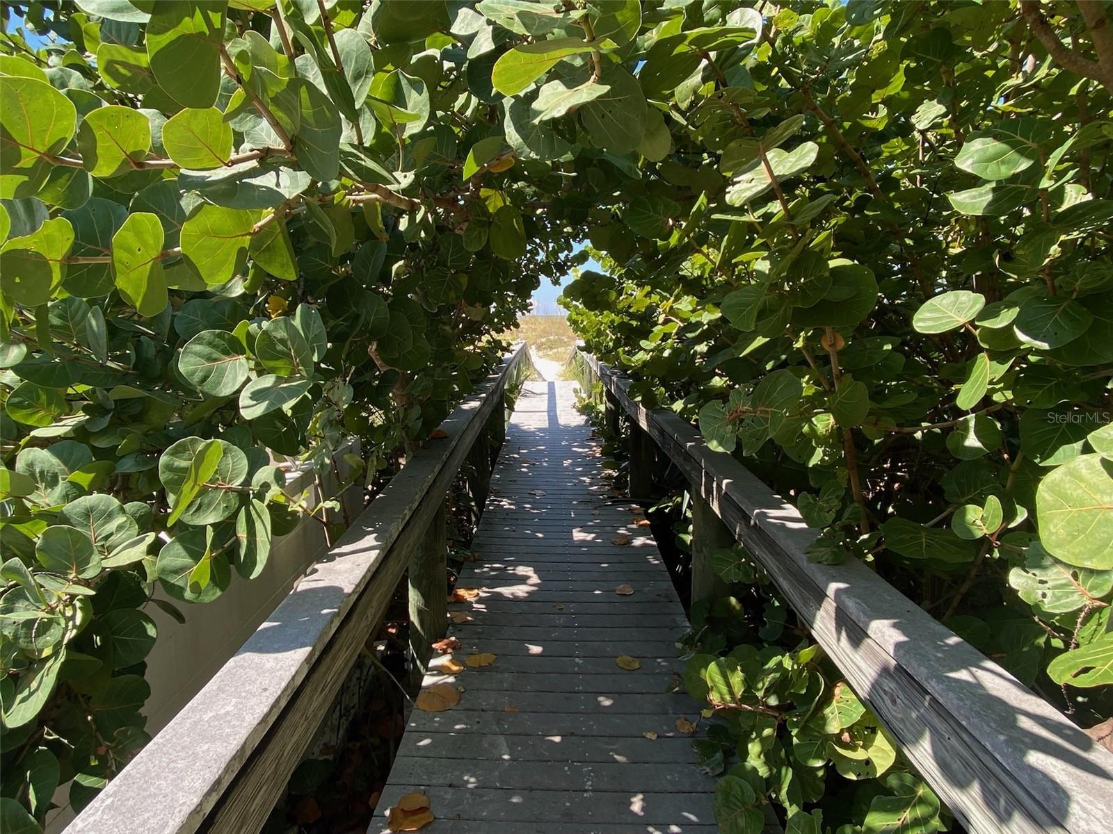 Beach walkover