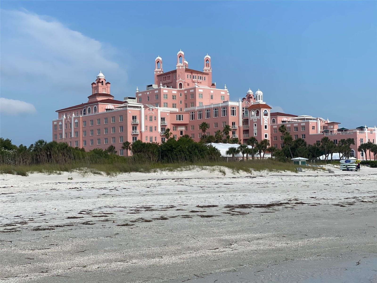 Don Cesar