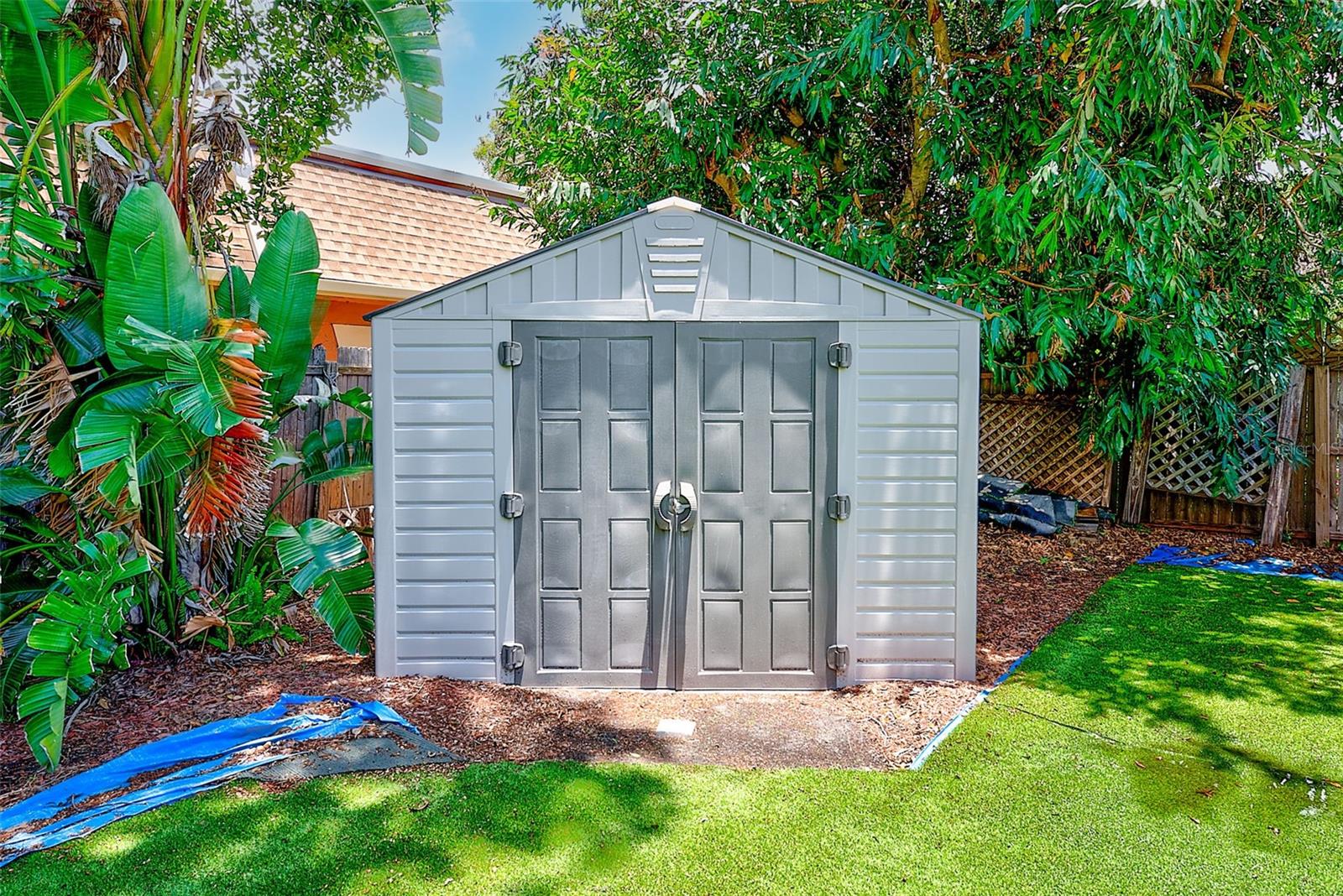 Shed in Backyard