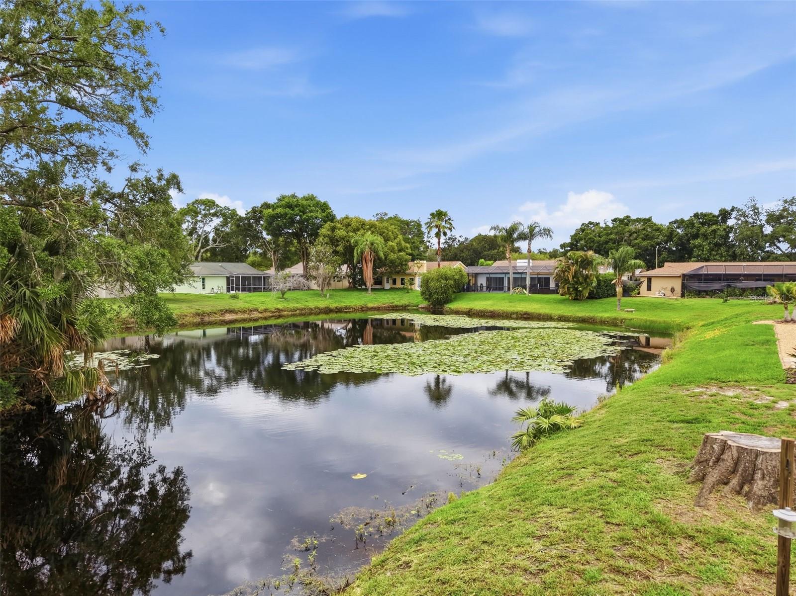 Conservation & Pond view from rear of home