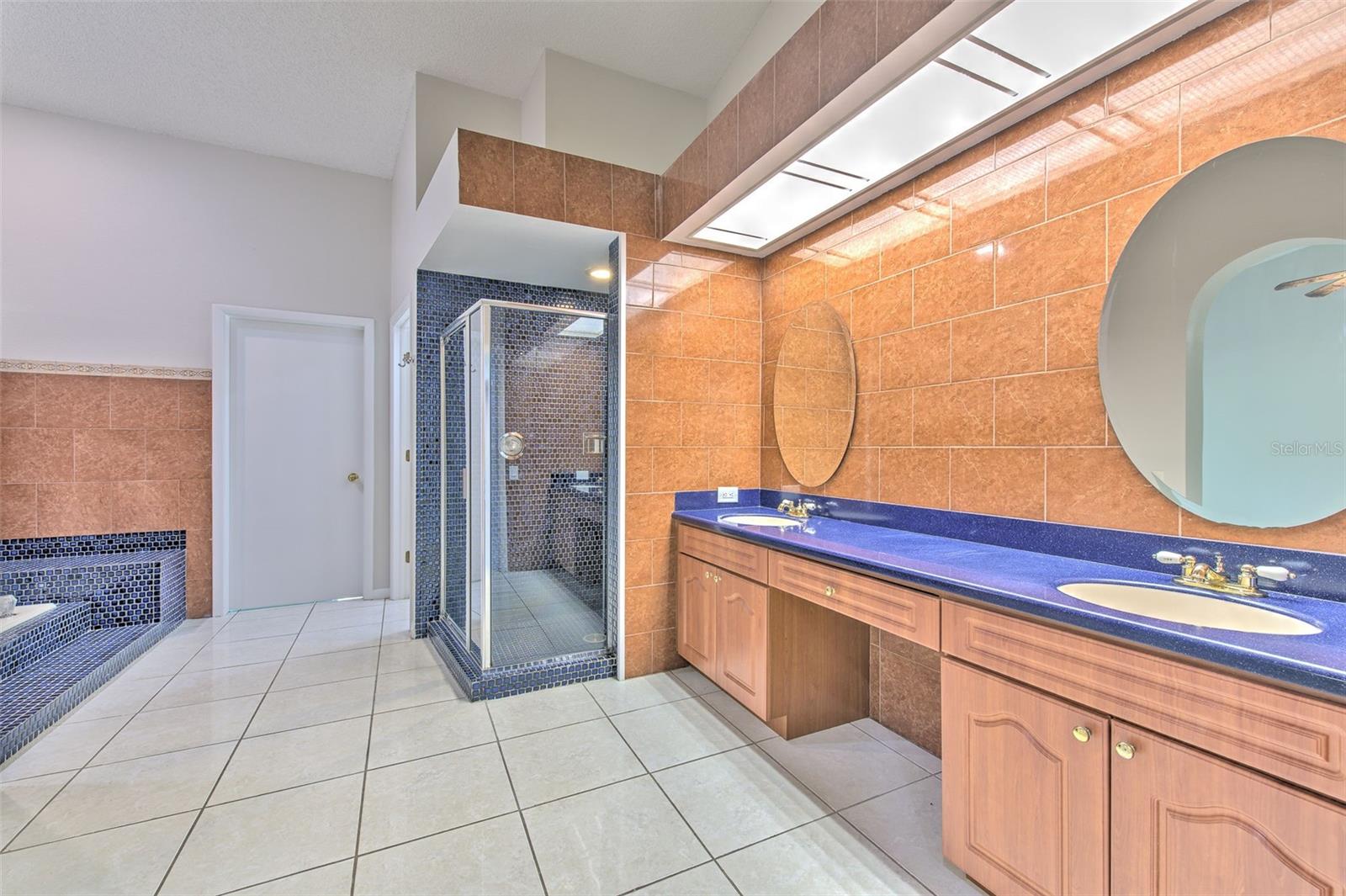 Master Bathroom. HUGE Shower, Sunk-in Garden Tub, Dual Sink Vanities, Makeup Vanity, private commode. (Bathroom #1)