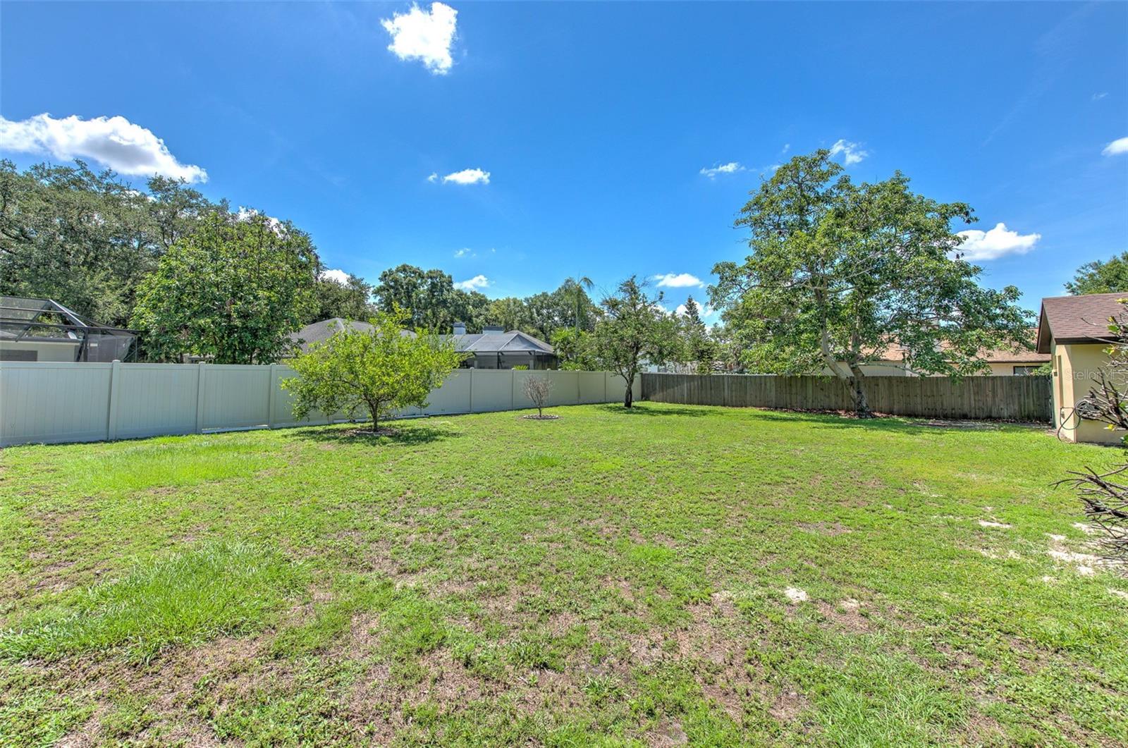 HUGE Fenced-in Backyard w/ Producing Avocado Tree & Starfruit Tree