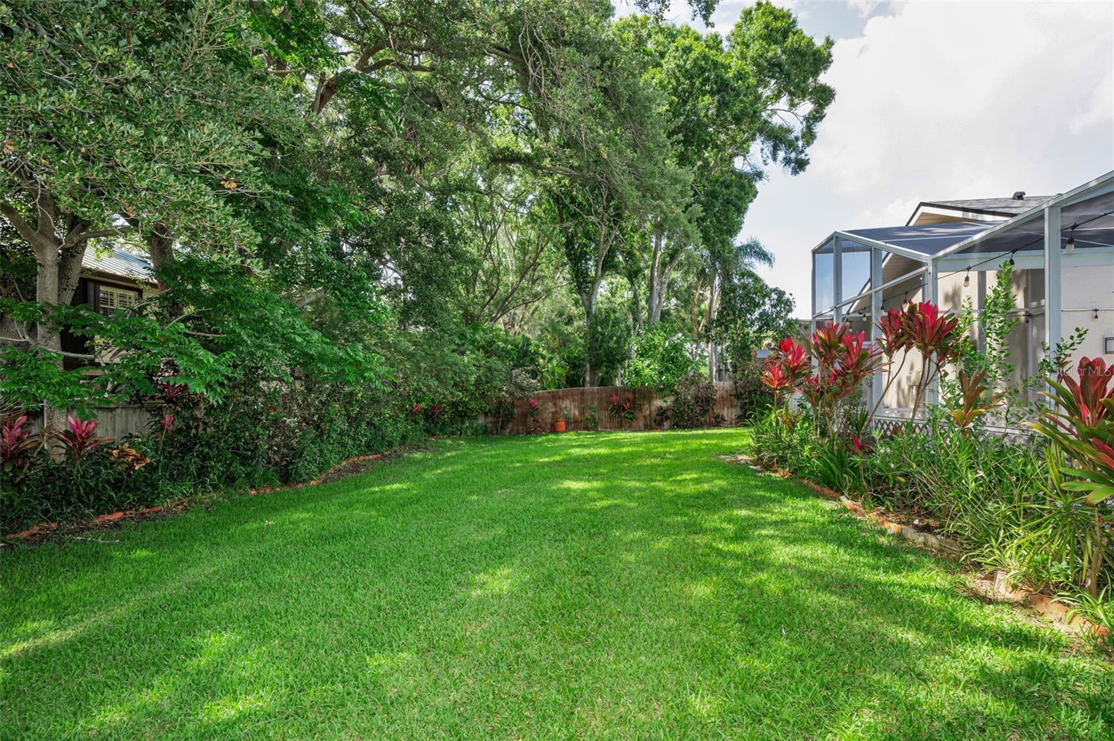 Beautiful Backyard!