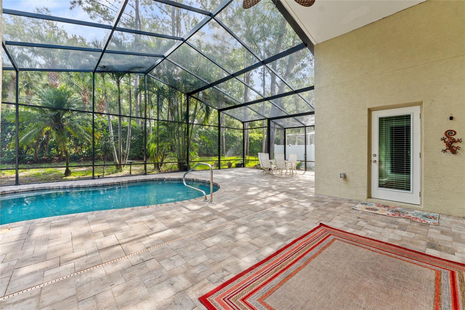 pool with newly installed pavers and Cage - no seem screen Jan 2026