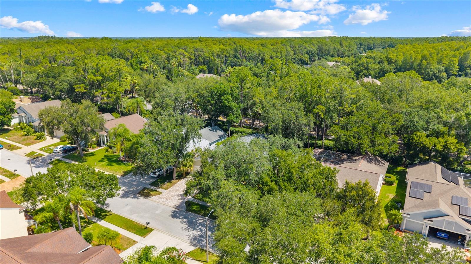 Lansbrook private park/dock to Tarpon Lake
