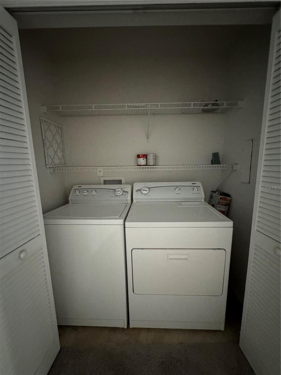 Full size WD