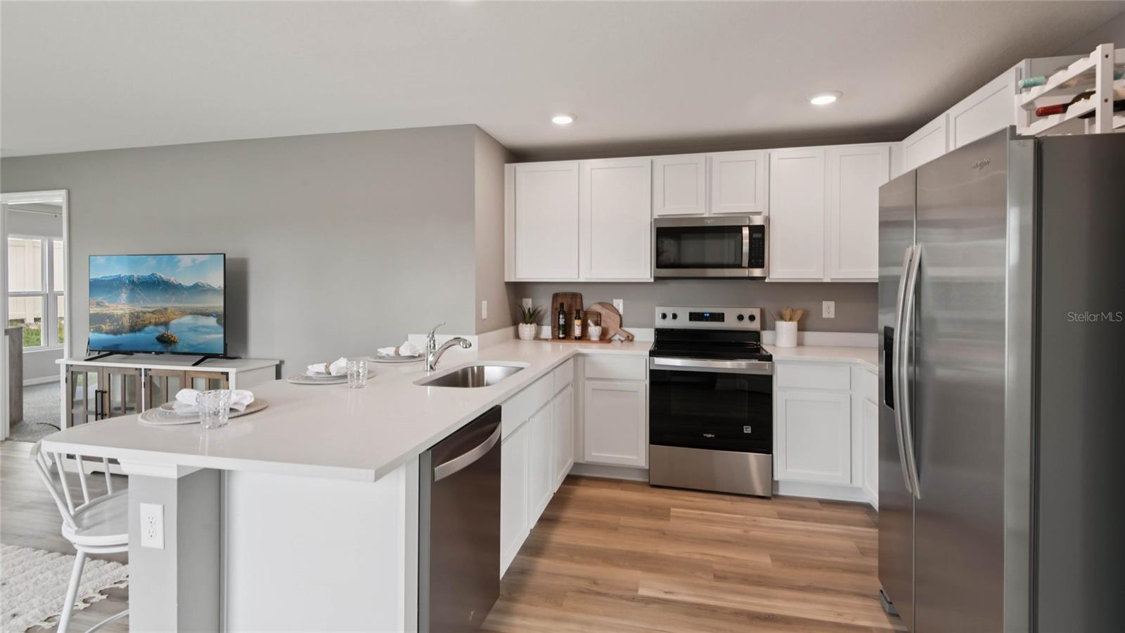 OM725667