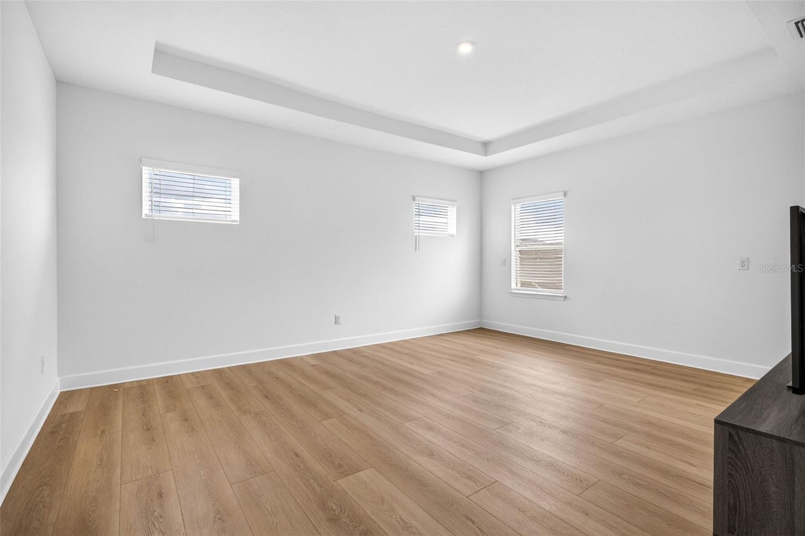 Bonus room/Flex space