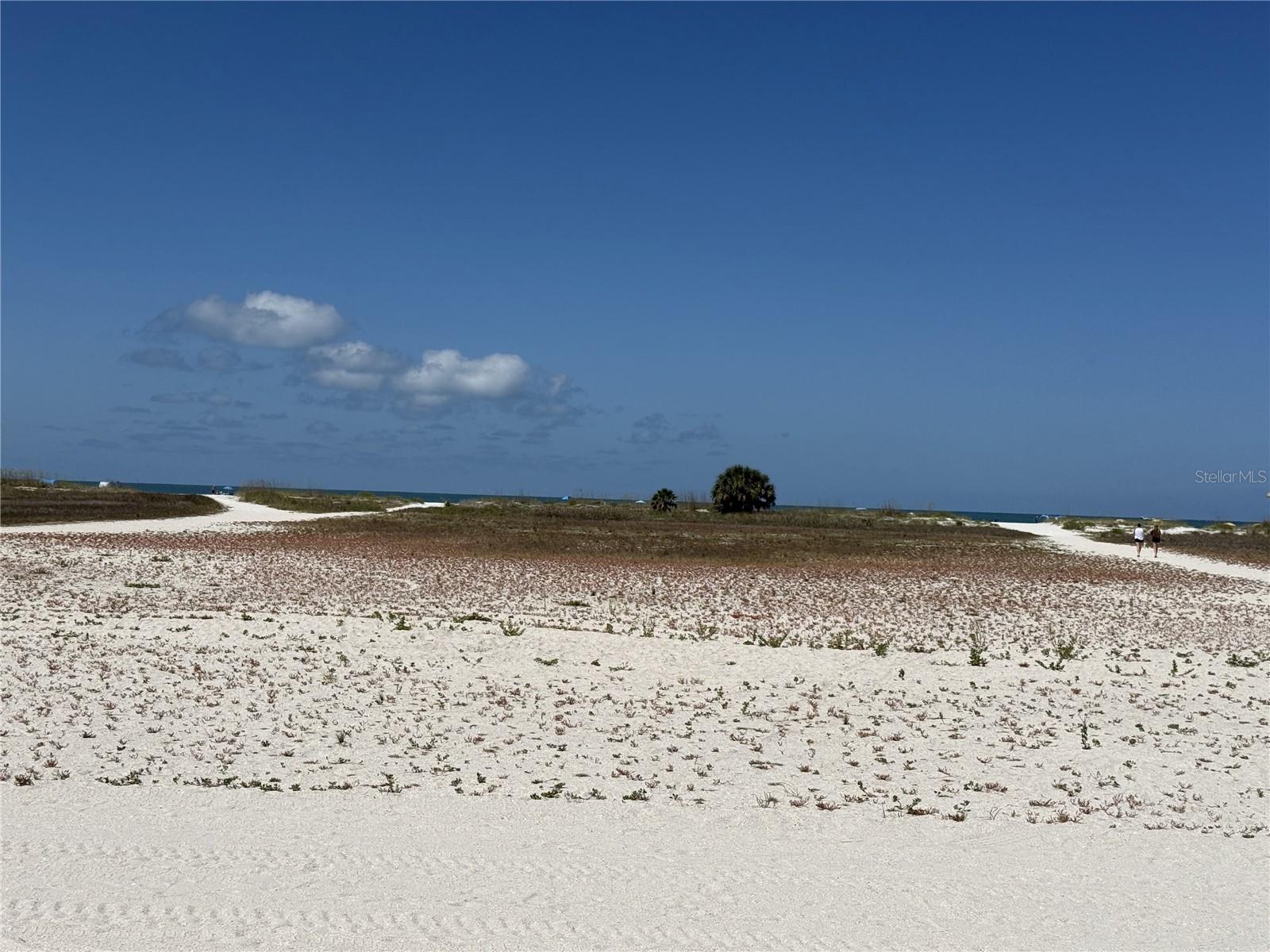 Large beach area with paths